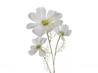 Цветок искусственный Кореопсис большой белый 96 см (арт. 7A12N00001)