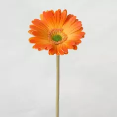 Цветок иск. Гербера мини (оранжевый) 32см