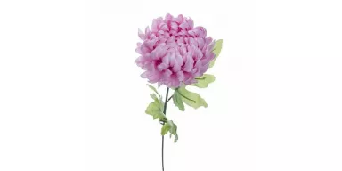 Хризантема розовая 63 см (24) (арт.8J-13GS0003)