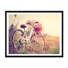 Постер 40х50 Природа (Ретро велосипед) (6) 240502501